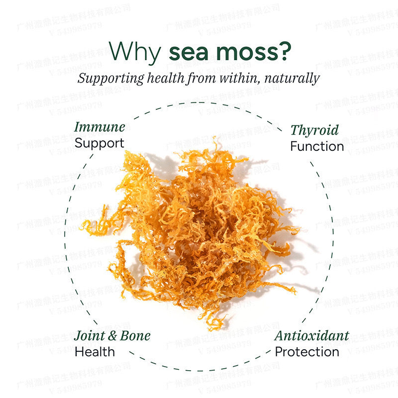 Seaweed Soft Candy 60 Tablets